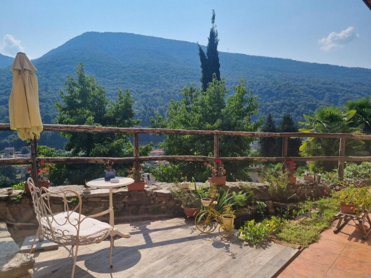 La Nave B&B Monteggio Екстериор снимка