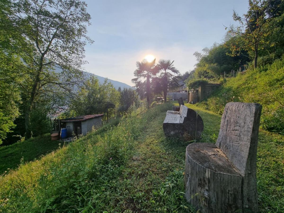 La Nave B&B Monteggio Екстериор снимка