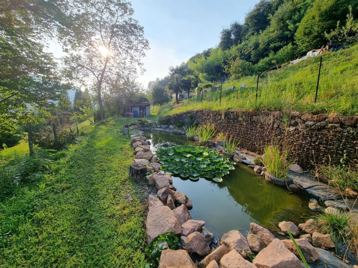 La Nave B&B Monteggio Екстериор снимка
