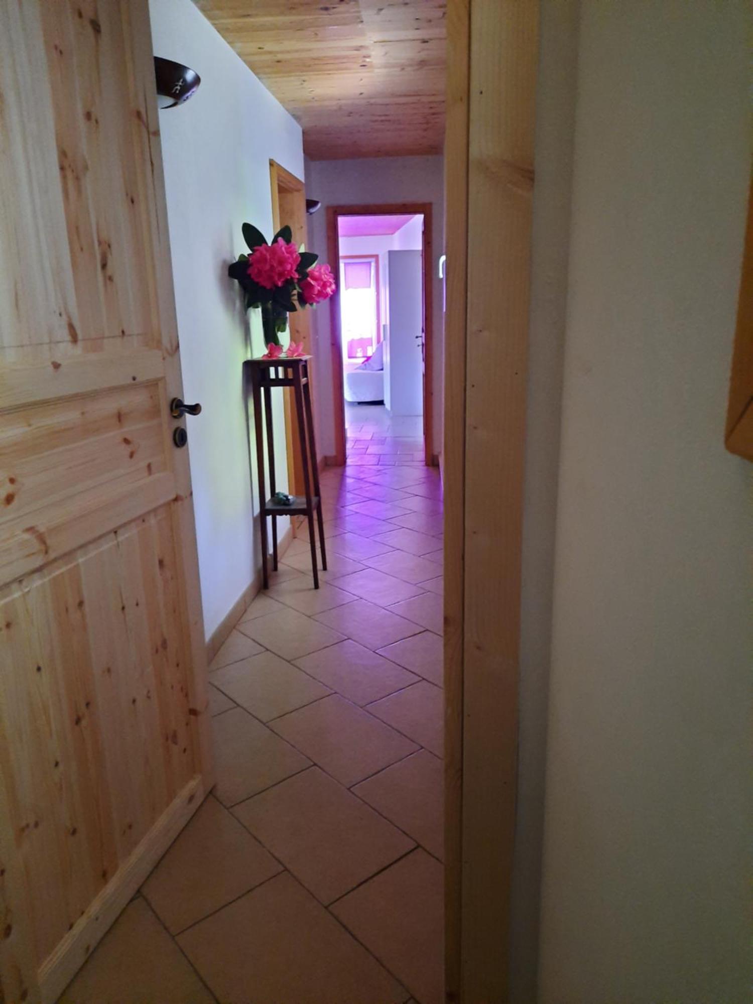 La Nave B&B Monteggio Екстериор снимка