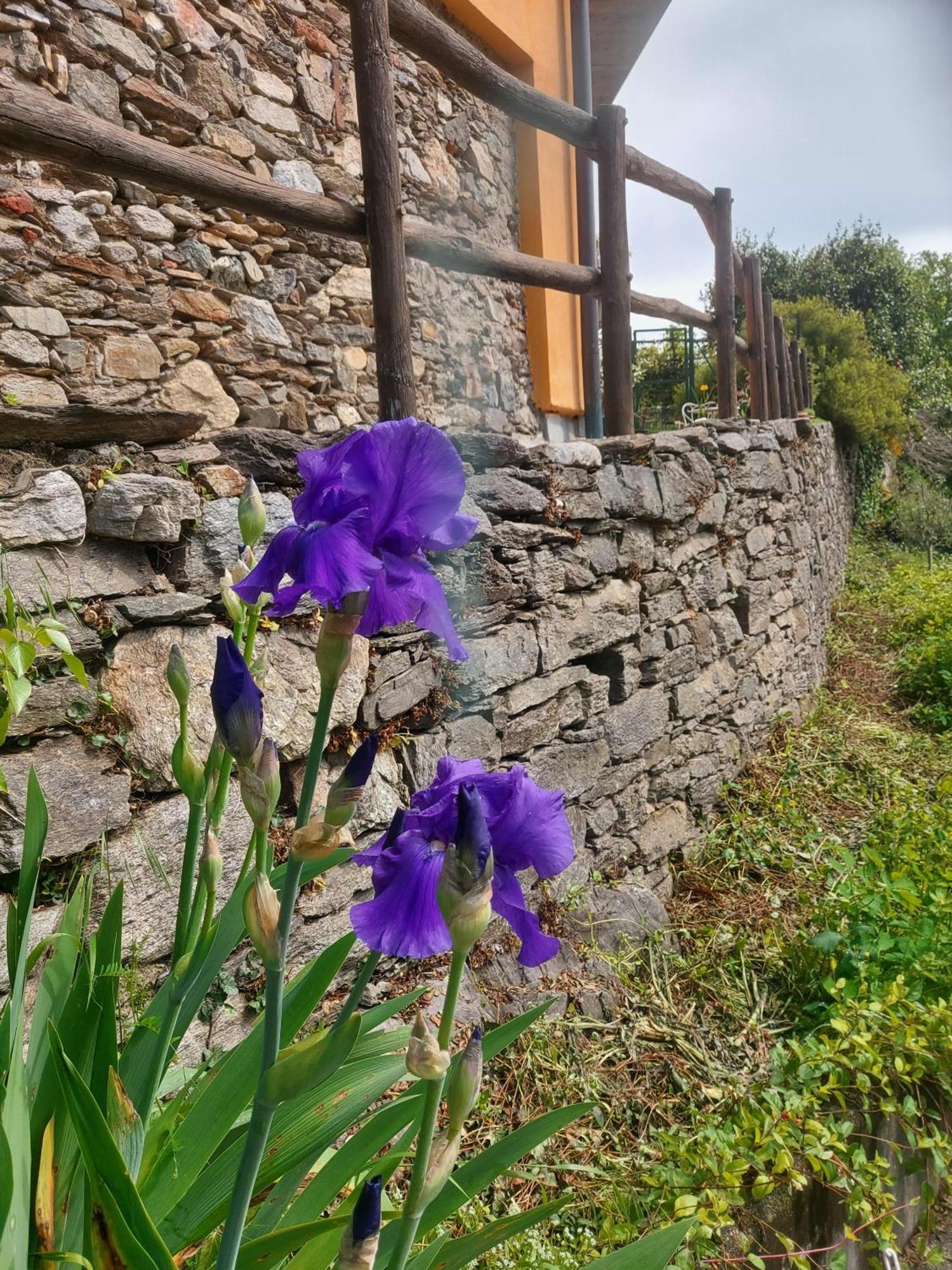 La Nave B&B Monteggio Екстериор снимка